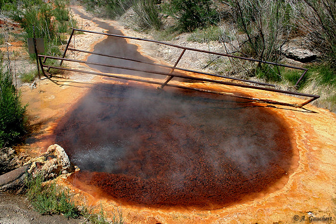 Boiling Hot Pool